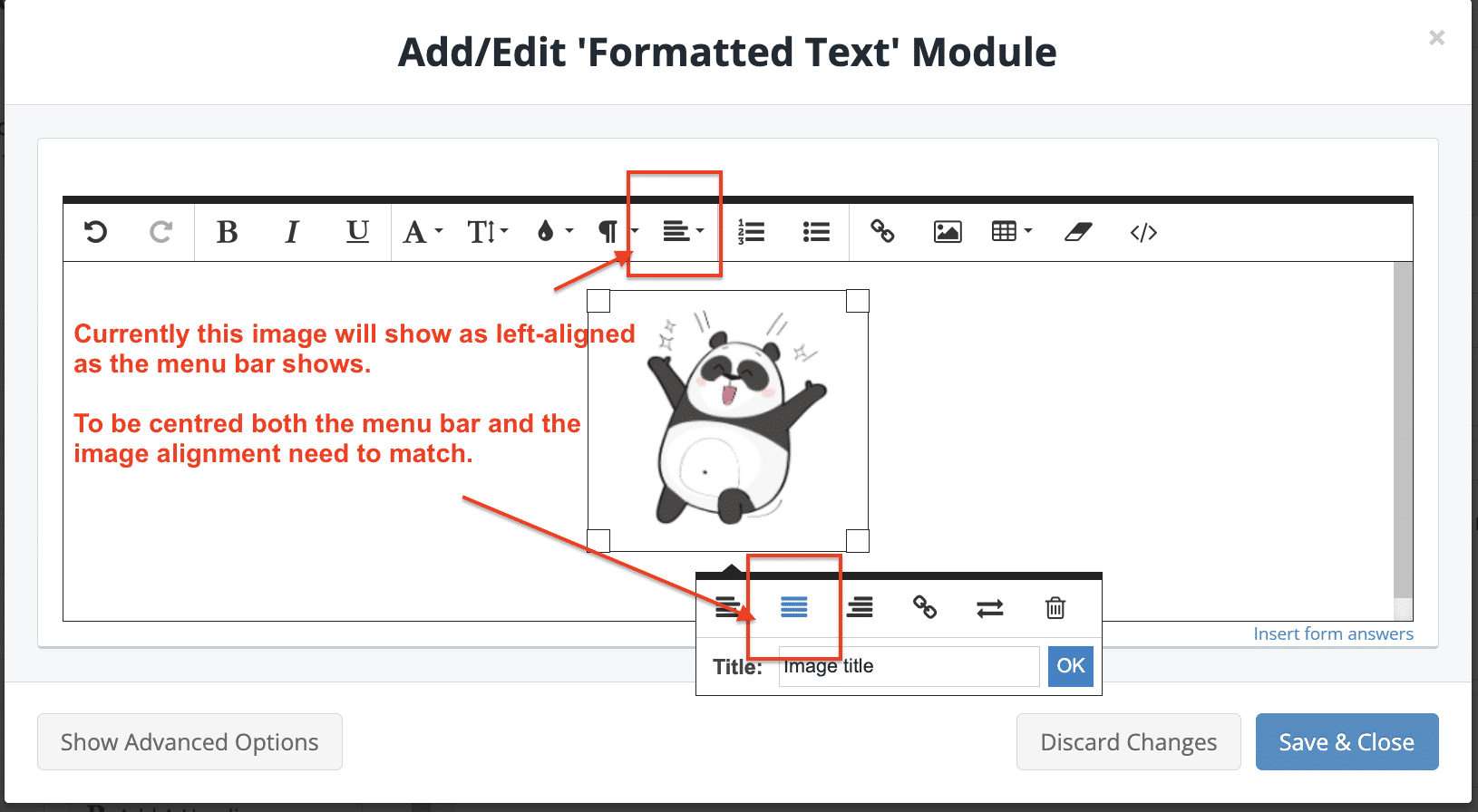 Snapforms interface showing instructions on how to centre align an image in a formatted text box